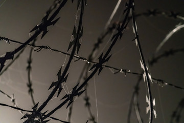 Barbed wire in the fog