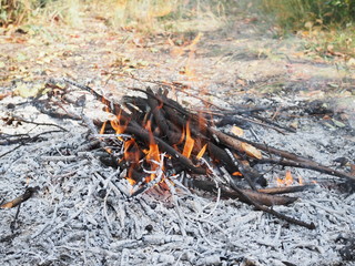 Small fire in nature on a Sunny autumn day