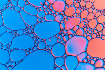 Colorful abstract images of oil drops on water. Colored circles and waves as a concept of...