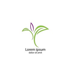 allium botany garden logo business vector