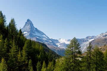 Amazing View of the mountain Matterhorn, Zermatt, Valais in the Swiss Alps, blue sky, no clouds in early autumn.