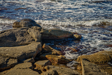 Каспийский берег.