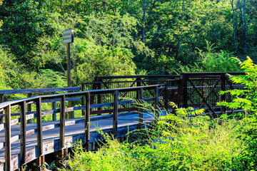 A Wood Fitness Trail Curving Through Forest