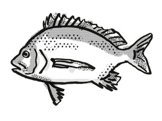  Pikey Bream Australian Fish Cartoon Retro Drawing
