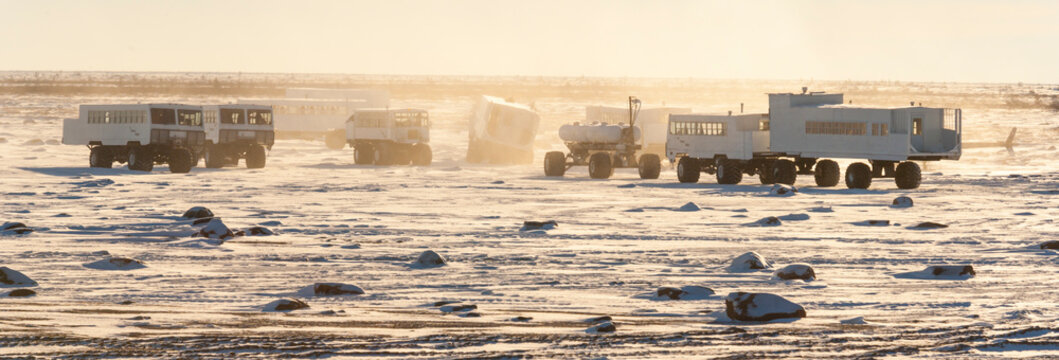 Churchill, Hudson Bay, Manitoba, Canada, America