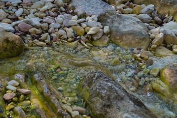 Ruscello di montagna a Piobbico nelle Marche