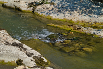 Ruscello di montagna a Piobbico nelle Marche