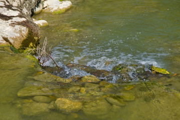 Ruscello di montagna a Piobbico nelle Marche