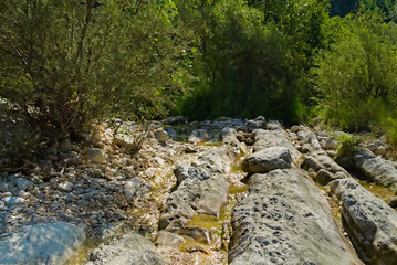 Ruscello di montagna a Piobbico nelle Marche