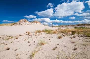 Landscape of the Slowinski National Park, Poland.