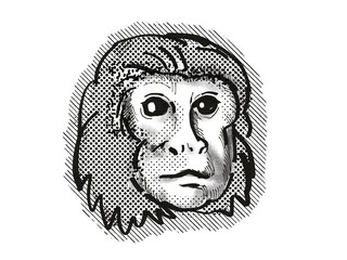 Golden Lion Tamarin Monkey Cartoon Retro Drawing