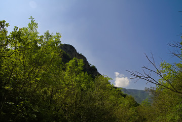 Obraz premium vista dal sentiero 208 fosso dell'eremo a Piobbico