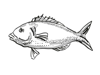 Tarakihi New Zealand Fish Cartoon Retro Drawing