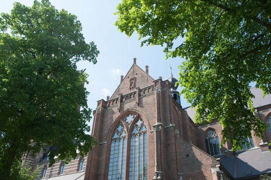 Oirschot, Sint Petrusbasiliek 