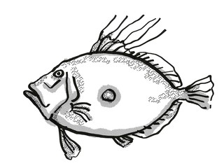 King Dory New Zealand Fish Cartoon Retro Drawing