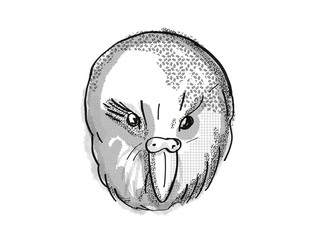  kakapo New Zealand Bird Cartoon Retro Drawing