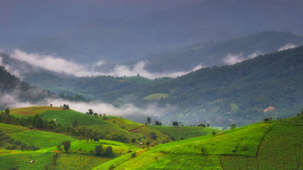 Fototapeta na wymiar Landscape of farm land feild / agriculture feild after raining with fog / mist float along the gap of mountains / hills