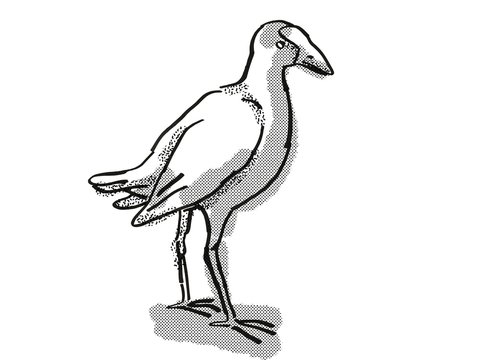 pukeko New Zealand Bird Cartoon Retro Drawing