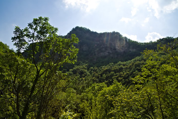 Fototapeta premium Vista lungo il sentiero 208 fosso dell'eremo a Piobbico