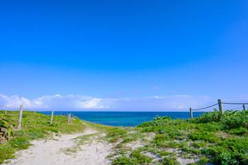 Fototapeta premium 夏の角島大浜海水浴場（山口県）