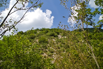 Vista lungo il sentiero 208 fosso dell'eremo a Piobbico