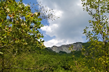 Vista lungo il sentiero 208 fosso dell'eremo a Piobbico