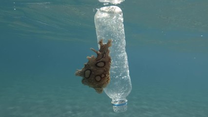 Plastic pollution, A beautiful nudibranch sea hare crawls along plastic bottle floats on the surface of the blue water. Nudibranch or Sea slug Spotted sea hare (Aplysia dactylomela) Mediterranean Sea 