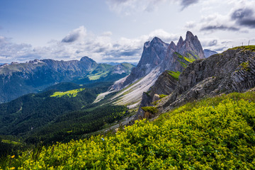 Alpen Panorama (Seceda)