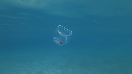  Plastic pollution, Crab travels inside a plastic cup slowly floating under the surface of blue water in sunray. Live crab trapped in plastic cup. Underwater shot, Mediterranean Sea, Europe. 