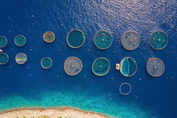 Luftaufnahme einer Fischfarm mit den runden Zuchtnetzen in den blauen Gewässern der Ägäis,...