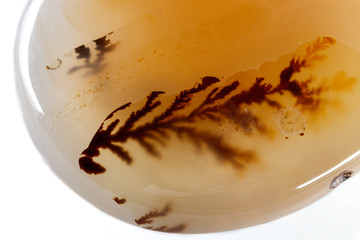 Fototapeta premium macro mineral stone Agata muschiata on a white background close-up