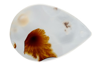 macro mineral stone Agata muschiata on a white background close-up