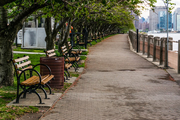 Roosevelt island Park benches