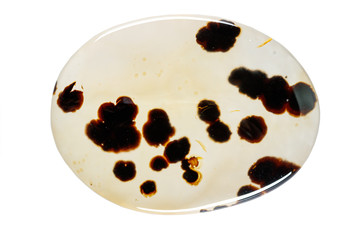 Fototapeta premium macro mineral stone Agata muschiata on a white background close-up