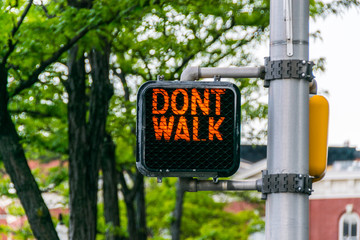 Don't walk traffic light