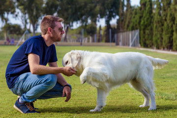 Man with his dog playing outdoor in the park. Young owner hugs his pet.