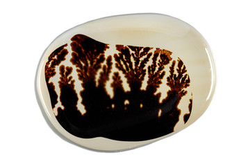 macro mineral stone Agata muschiata on a white background close-up