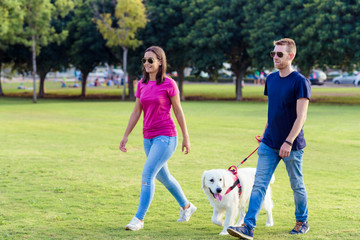 Romantic couple is on a walk in the park with their dog labrador. Beautiful young woman and handsome man are having fun outdoors with golden retriever labrador