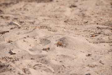 Fondo de arena de playa