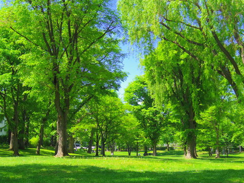 603 Best 北海道大学 Images Stock Photos Vectors Adobe Stock 603 Best 北海道大学 Images Stock Photos Vectors Adobe Stock