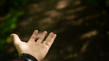 Man raising his left hand up to the sky in the forest, summertime with bright sunshine and colors. Positivt embracing concept