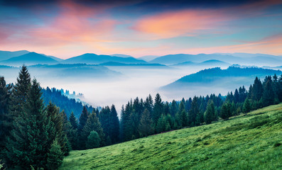 Fototapeta na wymiar Fantastic morning scene of mountain valley. Stunning summer sunrise in Carpathian mountains, Rika village location, Transcarpathian, Ukraine, Europe. Beauty of nature concept background.