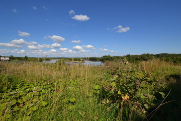 peace and quiet around the Ural river Colva