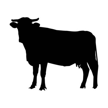 Cow Icon Vector Illustration Logo Template For Website Or Mobile App