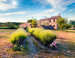 Splendid summer view of clasical Tuscanian garden. Colorful morning scene of Italian countryside....