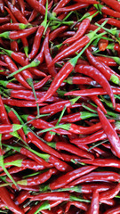 Red hot chilli peppers