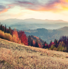 Naklejka na ściany i meble Attractive autumn sunrise in mountain valley. Splendid morning view Capathian mountains, Ukraine, Europe. Beauty of nature concept background. Artistic style post processed photo.