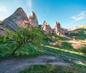 Unbelievable spring scene of Cappadocia. Early morning in the Uchisar Castle neighborhood. Sunrise...