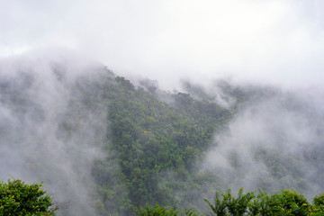 Aerial view of mist,cloud and fog over forest after rain