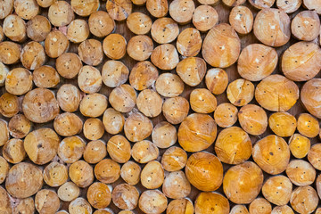 Tree Rings. Small tree rings next to each other